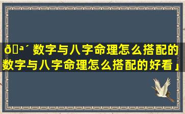 🪴 数字与八字命理怎么搭配的「数字与八字命理怎么搭配的好看」